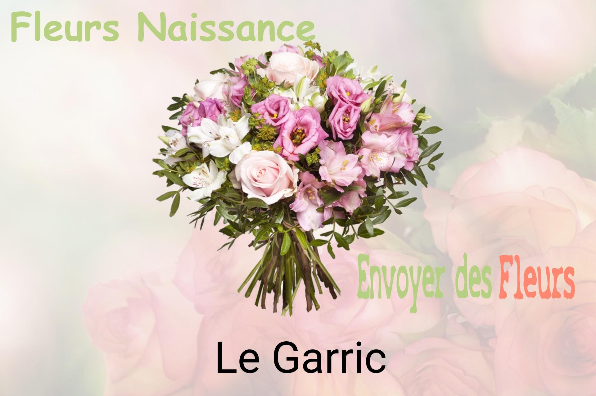 Bouquet de fleurs de naissance livré à Le Garric