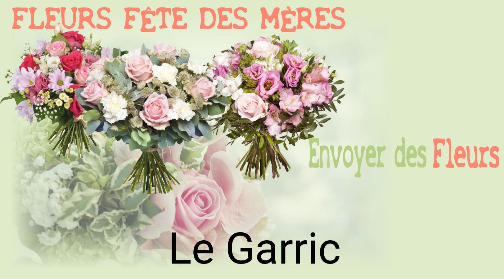 Bouquet de Fête des Mères livré à Le Garric